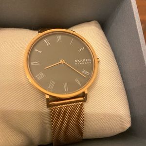Skagen Signature Steel Mesh Watch